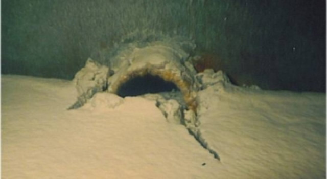 Water Intake Maintenance - Commercial Divers Water Intake Maintenance - Commercial Divers